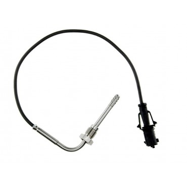 Sonde Température des Gaz...