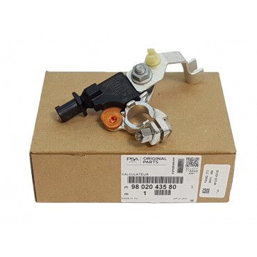 Borne Négative de Batterie Pour Citroën Berlingo C4 Peugeot 308 3008 9802043580