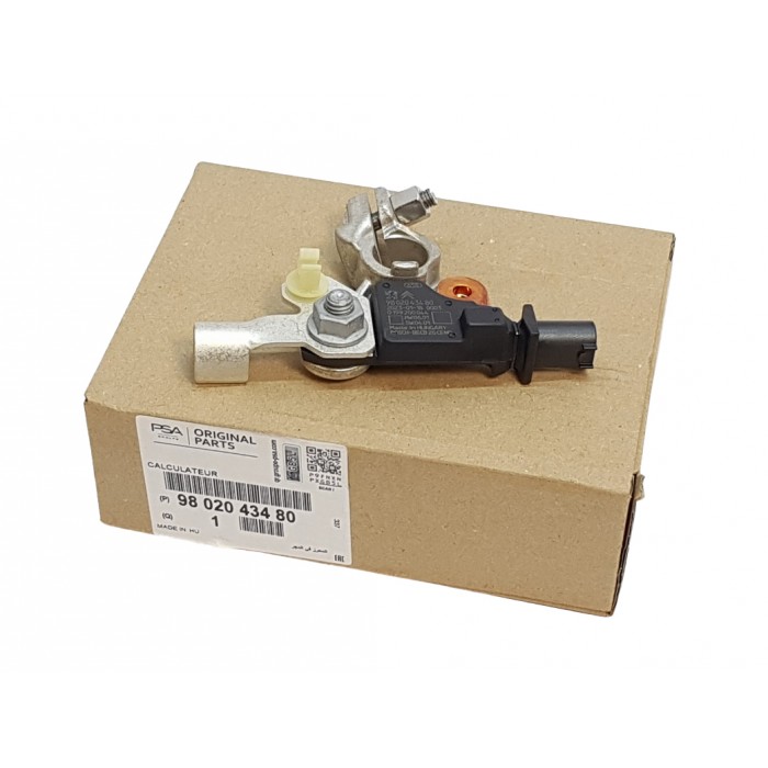 Borne Négative de Batterie Pour Citroen Berlingo III C4 Peugeot 3008 9802043480