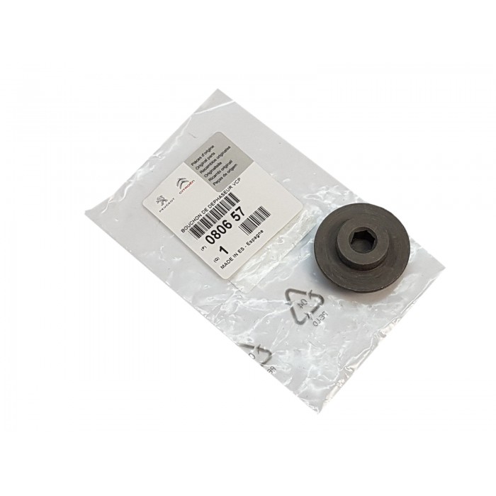 Bouchon de Poulie d'Arbre à Cames Pour Peugeot 407 607 Citoen C5 C6 80657