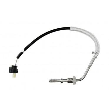 Sonde Température des Gaz...