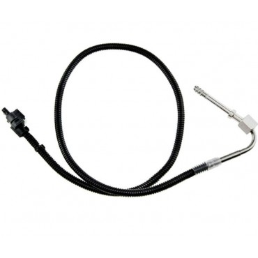 Sonde Température des Gaz...