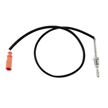Sonde Température des Gaz...