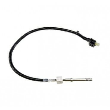 Sonde Température des Gaz...