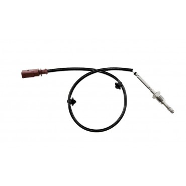 Sonde Température des Gaz...