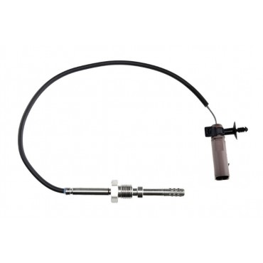 Sonde Température des Gaz...