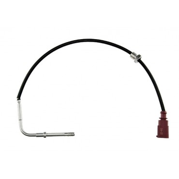 Sonde Température des Gaz...