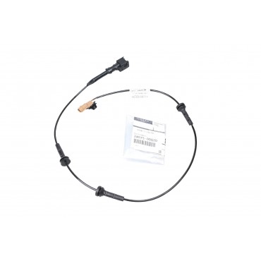 Cables Fils electriques Pour Renault Master III 2407500Q2D