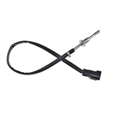 Sonde Température des Gaz...