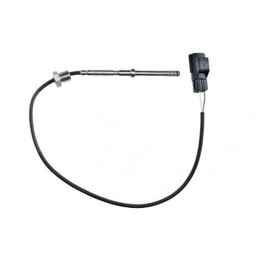 Sonde Température des Gaz...