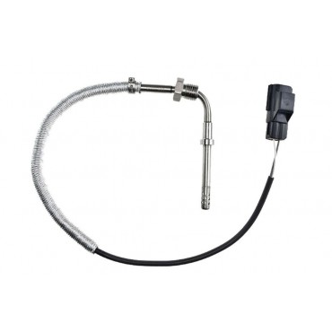 Sonde Température des Gaz...