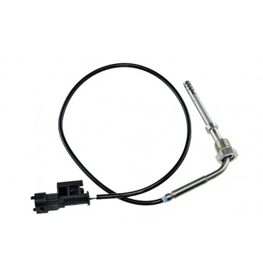 Sonde Température des Gaz...