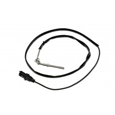 Sonde Température des Gaz...