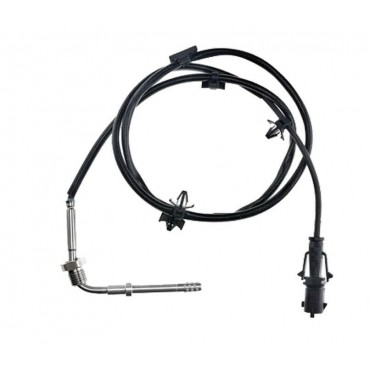 Sonde Température des Gaz...