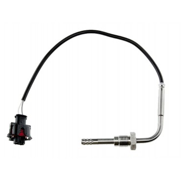 Sonde Température des Gaz...