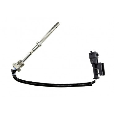 Sonde Température des Gaz...