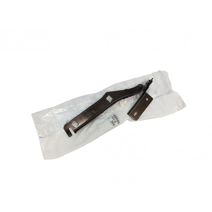 Charnière de Capot Moteur Droit Pour Citroën Berlingo Peugeot Partner 791345