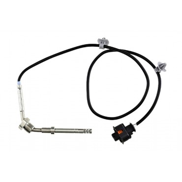 Sonde Température des Gaz...