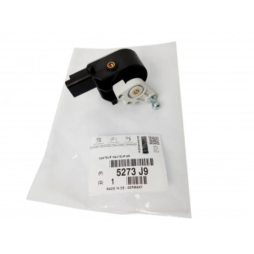 Correcteur d'Assiette Arrière Pour Citroën C5 III C6 Peugeot 508 I 5273E6 5273J9