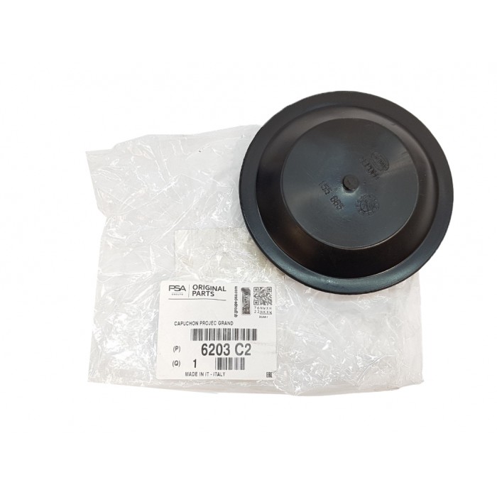 Couvercle de Phare Pour Citroen C4 C5 6203C2