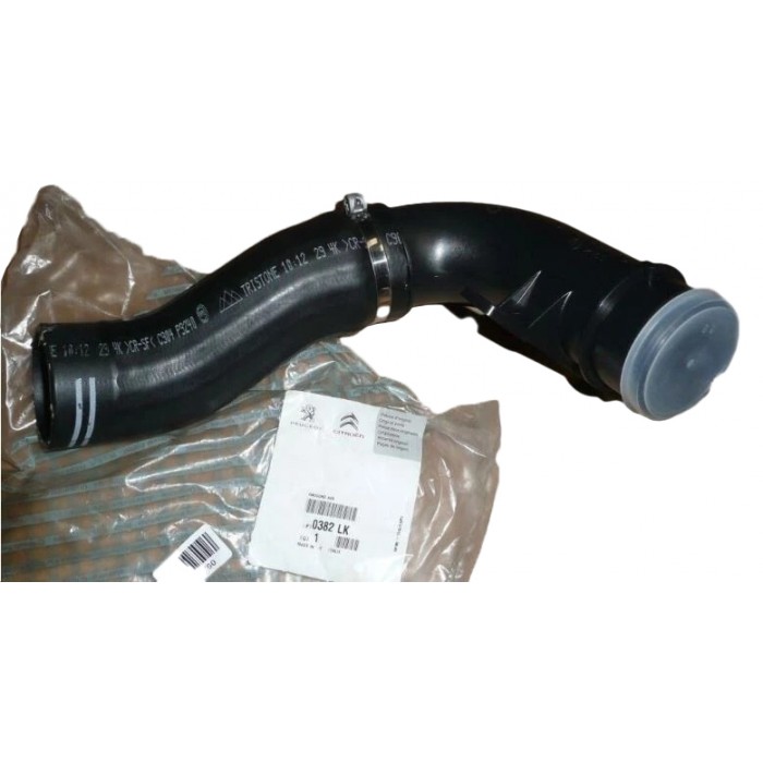 Durite d'Admission d'Air Pour Citroën Jumper II Fiat Ducato Peugeot Boxer 0382LK