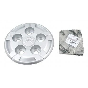 Enjoliveur Central 15" Pour Citroen Jumper III Peugeot Boxer III 1611985180