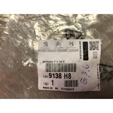 Gache Serrure de Porte Arrière Droit Pour Peugeot 207 2006-2015 9138H8 311127