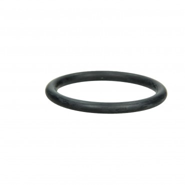 Joint de Papillon d'Admission d'Air Pour Renault Clio I II Thalia I 1661800QAF