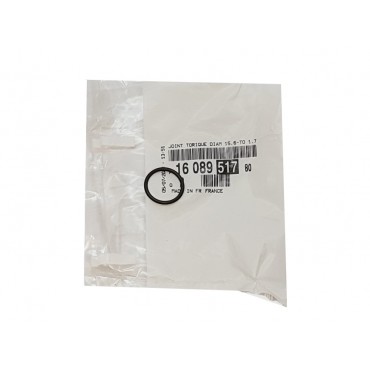 Joint de Tuyau Retour d'Huile Pour Citroën C4 I C5 III C4 Spacetourer 1608951780