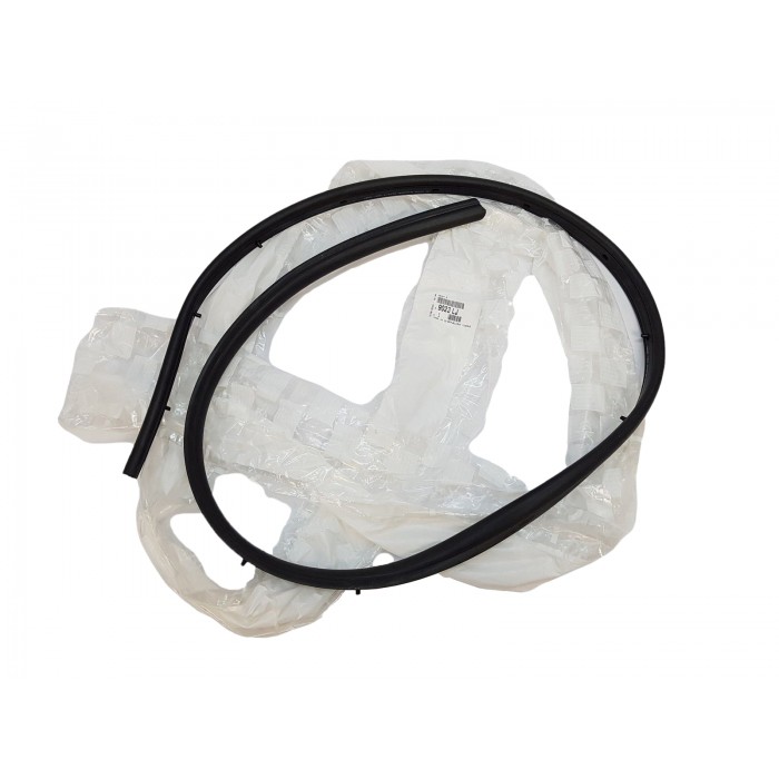 Joint Seuil de Porte Avant Gauche Pour Peugeot 406 9023LJ