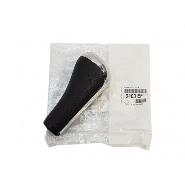 Pommeau Levier de Vitesse Pour Citroën C3 I II C4 I II 2403EF
