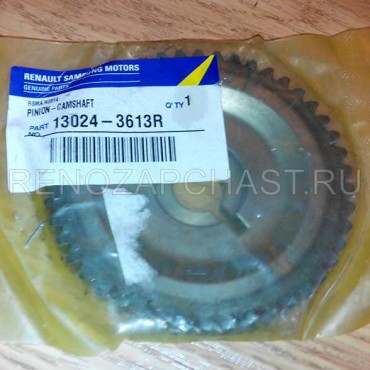 Poulie d'Arbre à Cames Pour Renault Laguna III 2008-2015 130243613R