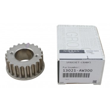 Poulie de Vilebrequin Pour Renault Espace IV Kangoo Laguna II Master 13021AW300