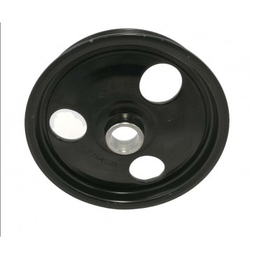 Poulie Pompe de Direction Assistée Pour Renault Scenic II 1194400QAD 1192700QAB