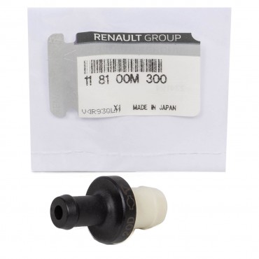 Soupape Dégazage Cache Culbuteurs Pour Dacia Dokker Duster Lodgy 118100M300