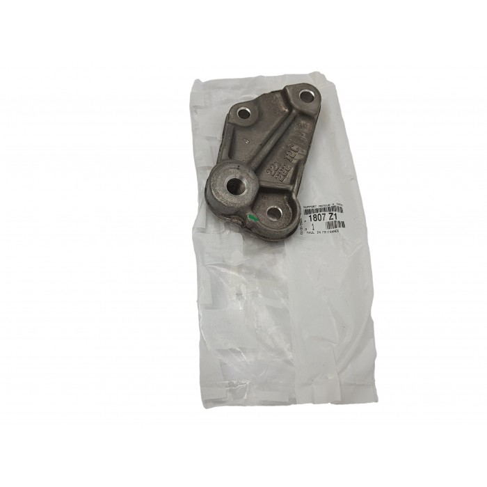 Support Moteur Gauche Pour Citroën C4 I Peugeot 307 308 I 3008 5008 1807Z1