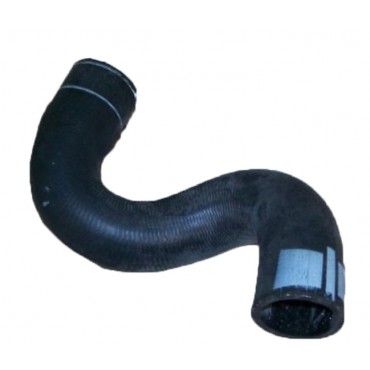 Tuyau du Radiateur Pour Citroën Berlingo First Xsara Peugeot 206 Partner 1343Z3