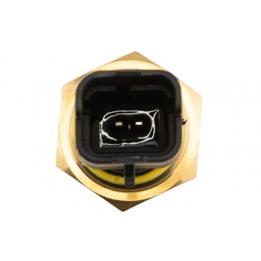 Capteur de Niveau d'Huile Moteur Pour Citroën C4 Jumpy Peugeot 3008 DS7Q6C624AA