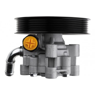 Pompe de Direction Assistée Pour Chrysler Grand Voyager Dodge Caravan 4743060AA