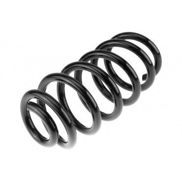 Ressort de Suspension Arrière Pour Renault Clio IV 2012-2021 550202644R