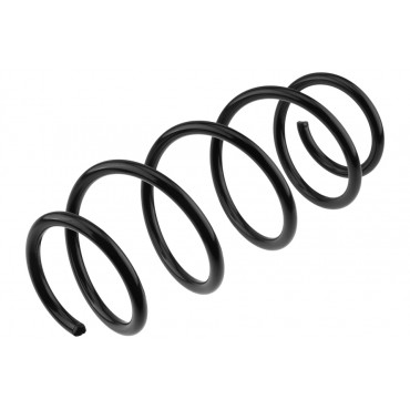 Ressort de Suspension Avant Pour Vw Fox Polo IV 6Q0411105S 5Z9411105B