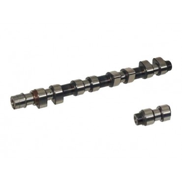 Arbre à Cames Fiat Brava...