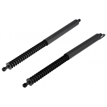 x2 Vérin Hayon de Coffre Pour Bmw Série 7 E65 E66 E67 51247201461+51247201462