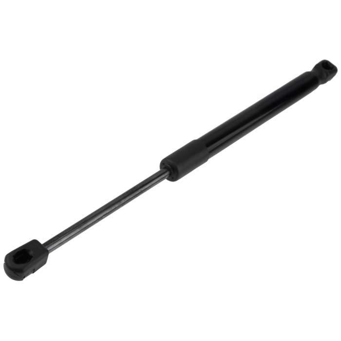 Vérin de Capot Moteur Pour Tesla Model 2017-2024 109147200B