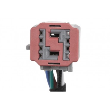 Vérin de Coffre electrique Pour Ford Focus IV 2018-2022 2508794 JX7BN404C85AC