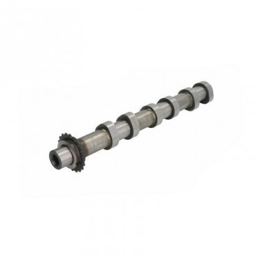 Arbre à Cames Citroen C5 C6...