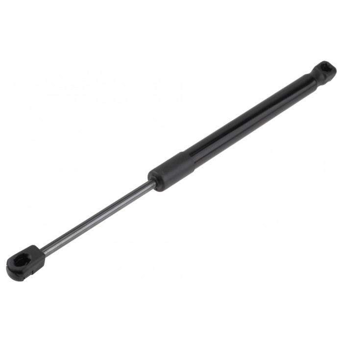 Vérin Hayon de Coffre Pour Bmw Série 5 F07 51247200516 51247288721