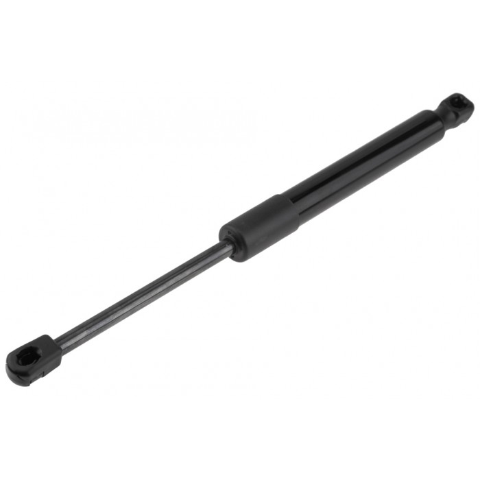 Vérin Hayon de Coffre Pour Tesla Model 3 2017-2020 109156000B 109156000A