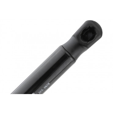 Vérin Hayon de Coffre Pour Nissan Murano II 2008-2014 904511AB1A 904501AA1A