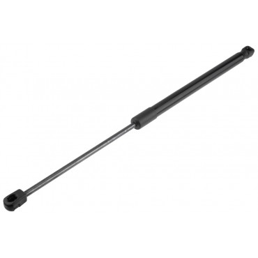 Vérin Hayon de Coffre Pour Renault Twingo III 2014-2016 904511881R 904518604R